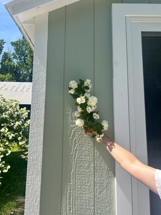 Open House: The ZEAL Pottery Shed